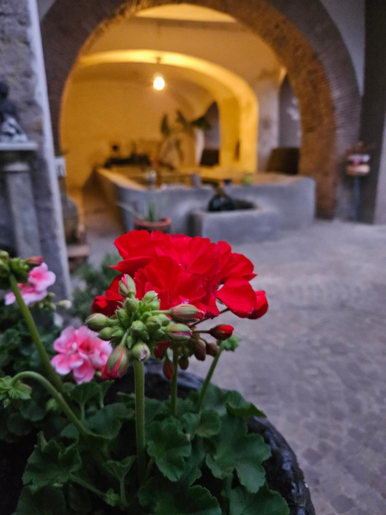 L' Antico Lavatoio Bed and Breakfast Rignano Flaminio Exteriör bild