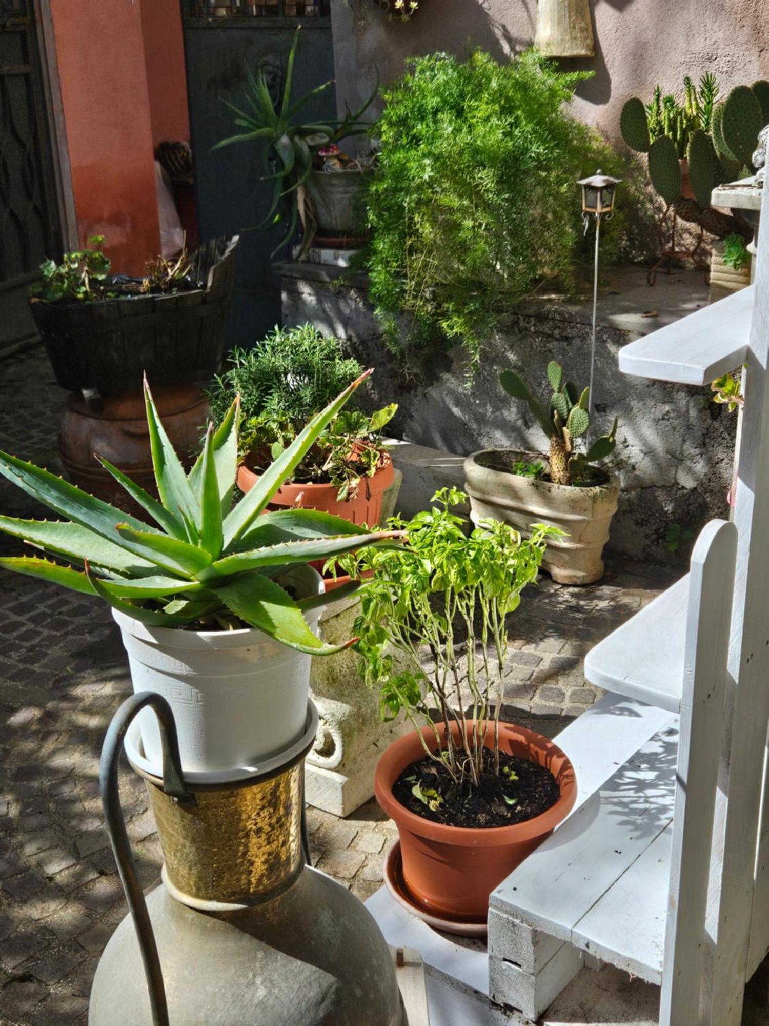 L' Antico Lavatoio Bed and Breakfast Rignano Flaminio Exteriör bild