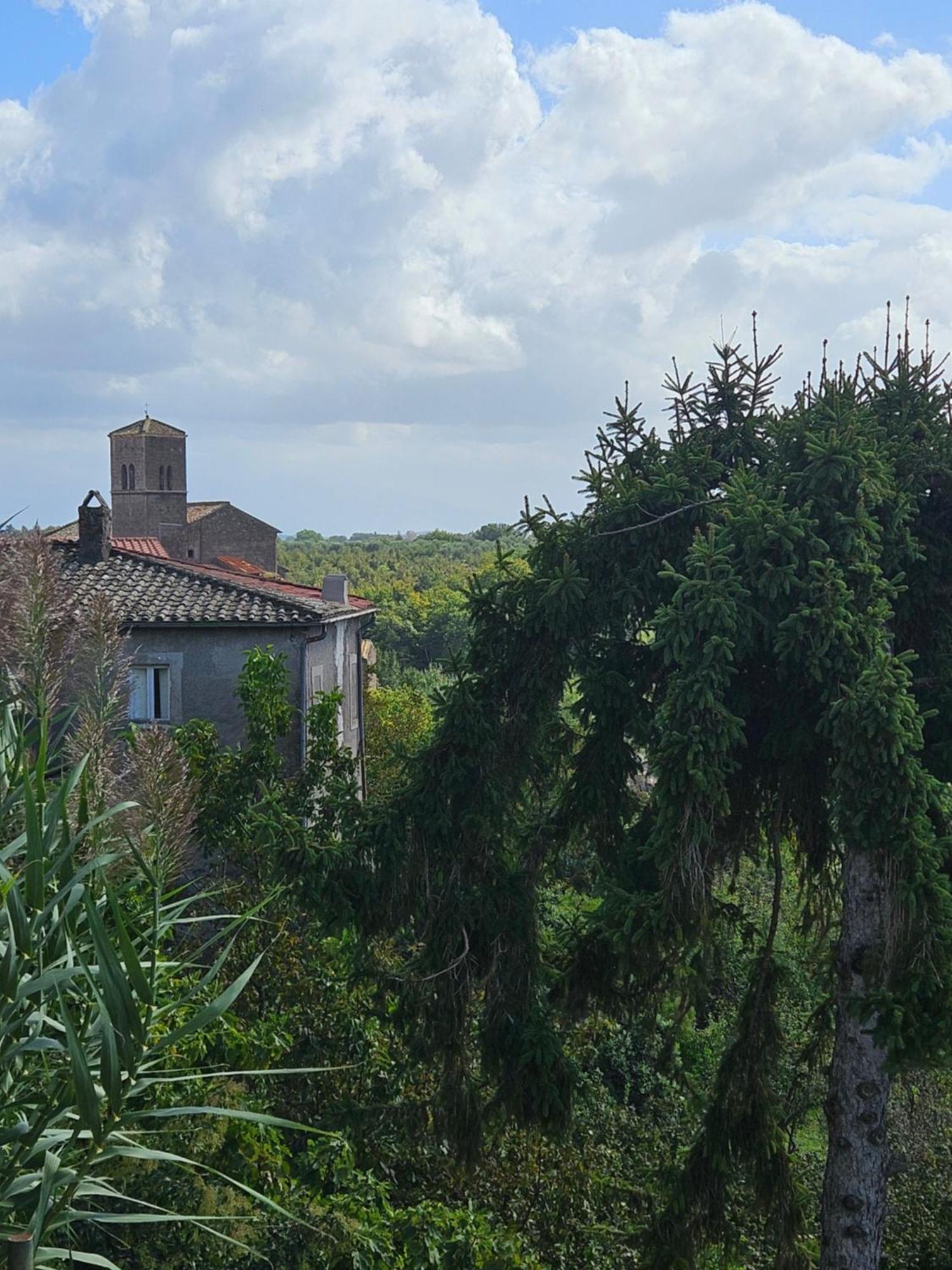 L' Antico Lavatoio Bed and Breakfast Rignano Flaminio Exteriör bild